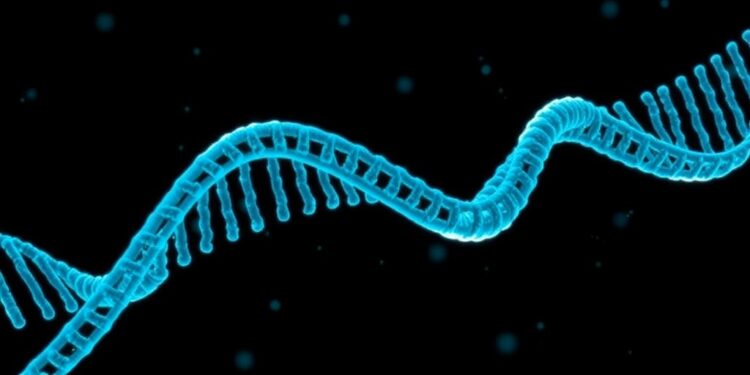 researchers-unravel-dietary-choices-through-stool-dna-analysis:-no-questions-required