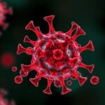 new-tool-unveils-connection-between-immune-cell-disruption-in-blood-and-cancer-prognosis