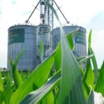 stable-dust-explosion-rates-and-reduced-injuries-mark-last-year’s-safety-trends