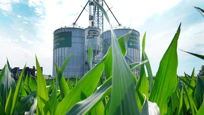 stable-dust-explosion-rates-and-reduced-injuries-mark-last-year’s-safety-trends