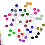 researchers-uncover-15-fundamental-motives-behind-human-behavior