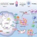 revolutionary-nanoplatform-enhances-cancer-treatment-through-self-assembly-in-photoimmunotherapy