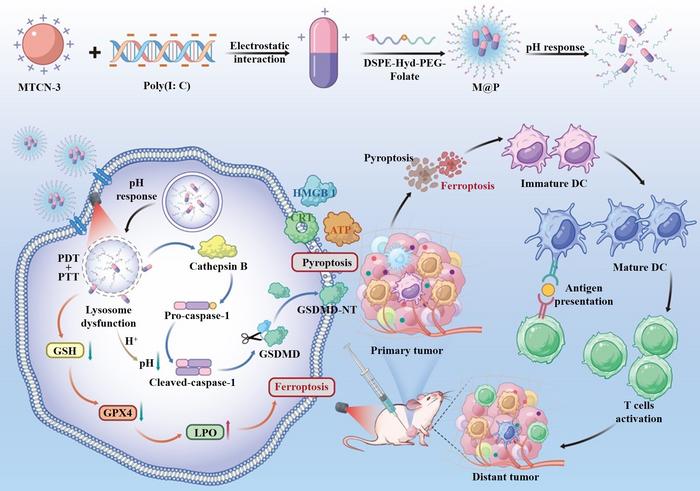 revolutionary-nanoplatform-enhances-cancer-treatment-through-self-assembly-in-photoimmunotherapy
