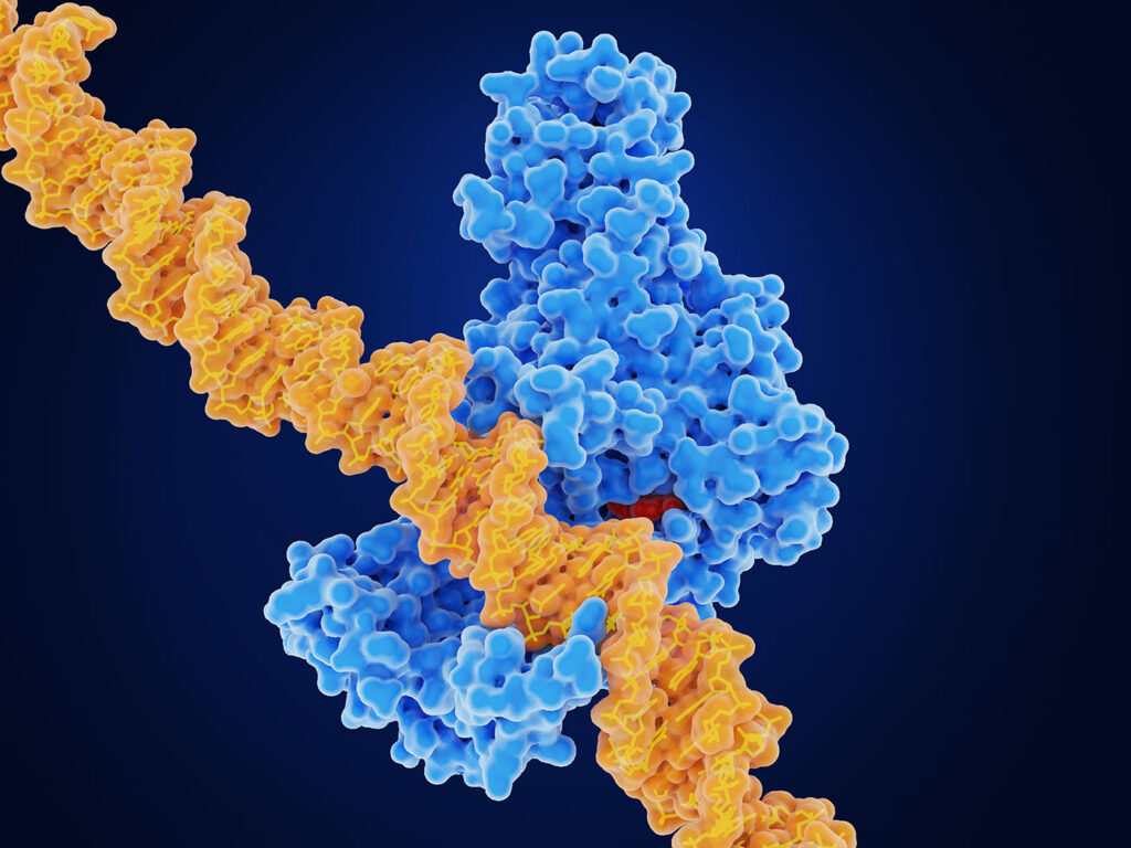 native-read-sequencing-for-methylation-profiling-in-cancer-diagnostics