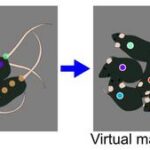 vmtracking-delivers-precision-multi-animal-pose-tracking-in-dense-environments