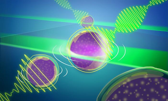 advancing-the-frontiers-of-tailored-microscopy-technologies