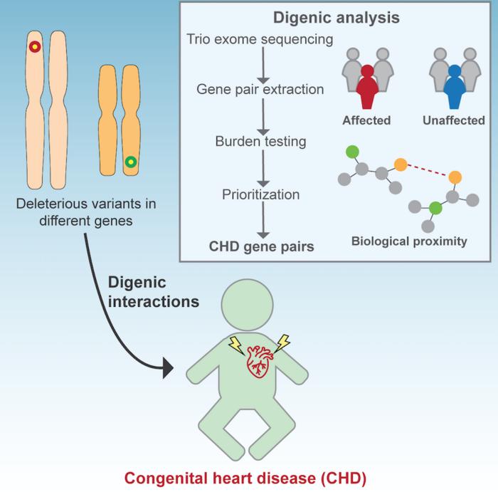 unveiling-genetic-factors-behind-congenital-heart-disease