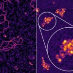 exploring-a-decade-old-hepatitis-b-enigma-unveils-promising-new-treatment-possibilities