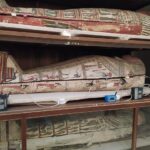 cutting-edge-analysis-of-mummified-remains:-insights-from-ancient-egyptian-embalming-techniques