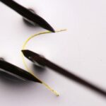 unveiling-the-elasticity-secrets-of-flexible-crystals