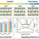 intercalation-influences-chemical-arrangement-and-properties-in-two-dimensional-magnets
