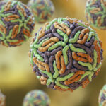 zika-virus-creates-tunnels-to-cross-placenta-in-stealth-mode-and-infect-fetus