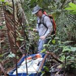 unlocking-peatland-secrets:-fau-secures-$1.3-million-to-monitor-carbon-and-gas-dynamics