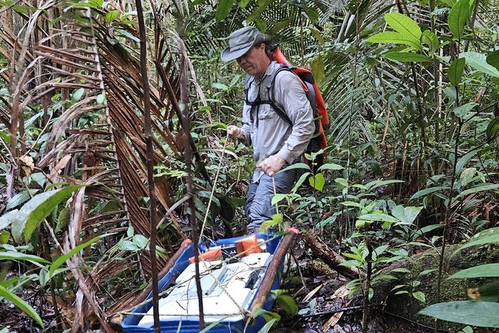 unlocking-peatland-secrets:-fau-secures-$1.3-million-to-monitor-carbon-and-gas-dynamics