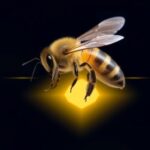 beehive-sensors:-a-promising-solution-for-saving-honeybee-populations