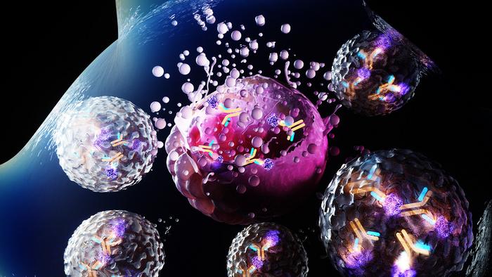 md-anderson-researchers-unveil-innovative-antibody-toxin-conjugate