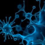 immune-cells-linked-to-increased-parkinson’s-disease-risk-in-men