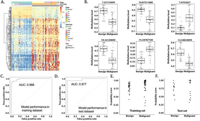 dna-methylation:-a-promising-biomarker-for-early-lung-cancer-detection