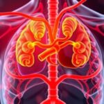 biological-organ-age:-a-key-predictor-of-disease-risk-decades-ahead