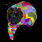 revolutionizing-cell-analysis:-harnessing-artificial-intelligence-for-automatic-insights