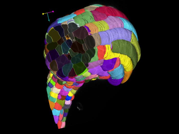 revolutionizing-cell-analysis:-harnessing-artificial-intelligence-for-automatic-insights