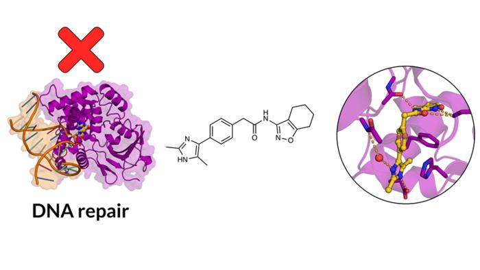 breakthrough-method-scans-10-sextillion-drug-molecules-for-discoveries
