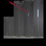 revolutionary-double-network-hydrogel-polymers-exhibit-swift-self-strengthening-properties