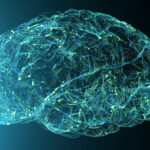 schizophrenia-linked-to-structural-brain-heterogeneity