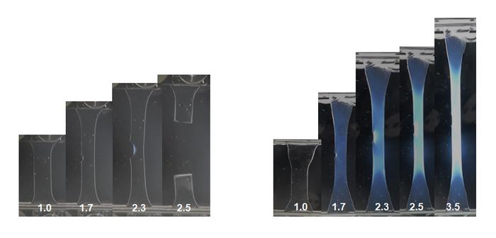 revolutionizing-hydrogels:-sacrificial-scaffolding-enhances-rapid-healing