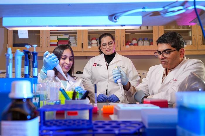 scientists-uncover-possible-connection-between-retinal-alterations-and-alzheimer’s-disease