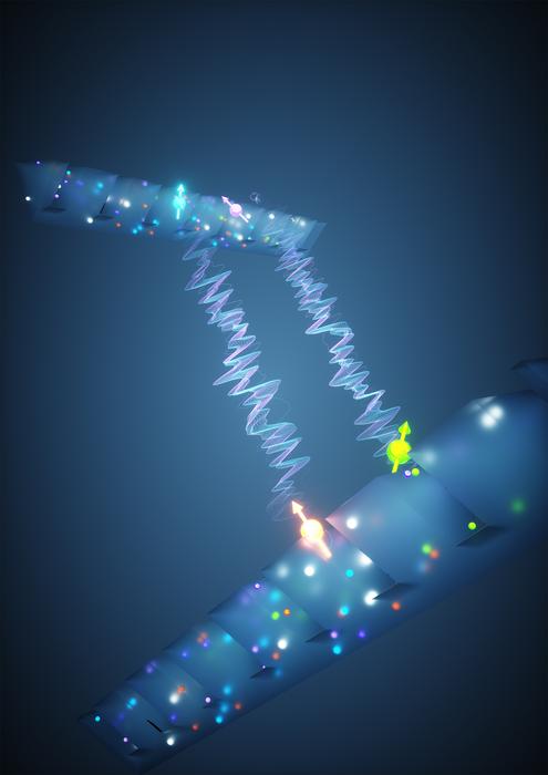 unraveling-multiplexed-entanglement-in-quantum-networks