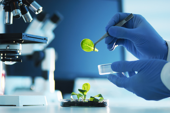 new-technologies-make-plant-cell-based-protein-platforms-competitive