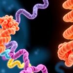 regulating-the-structural-transformations-of-protein-aromatic-side-chains