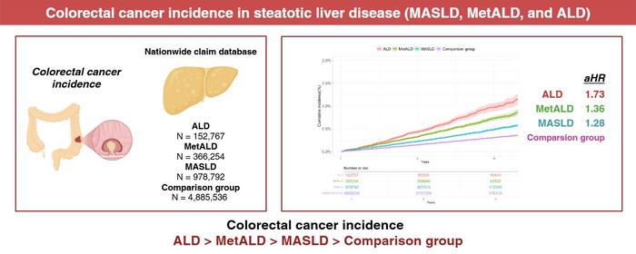 unraveling-the-connection-between-colorectal-cancer-risk-and-fatty-liver-disease