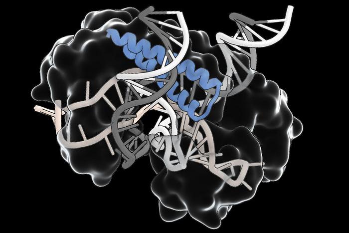 revolutionary-ancient-rna-guided-mechanism-may-streamline-gene-editing-therapy-delivery