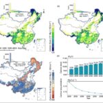 china’s-forests:-a-carbon-sink-with-a-time-limit?