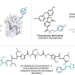 advancements-in-precision-engineering-of-peptides-and-proteins