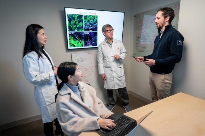 st.-jude-researchers-unravel-mechanism-behind-retinoic-acid’s-efficacy-in-neuroblastoma-treatment