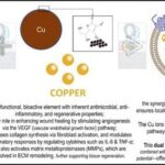 groundbreaking-copper-infused-microvesicles:-ushering-in-a-new-era-of-biofunctional-medicine
