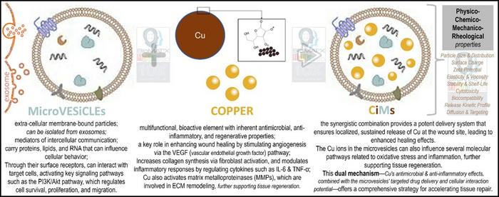 groundbreaking-copper-infused-microvesicles:-ushering-in-a-new-era-of-biofunctional-medicine