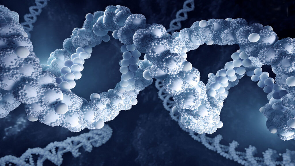 the-characterization-of-lipid-components-in-lipid-nanoparticle-formulations