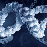 the-characterization-of-lipid-components-in-lipid-nanoparticle-formulations