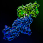 empowering-discovery-in-targeted-protein-degradation
