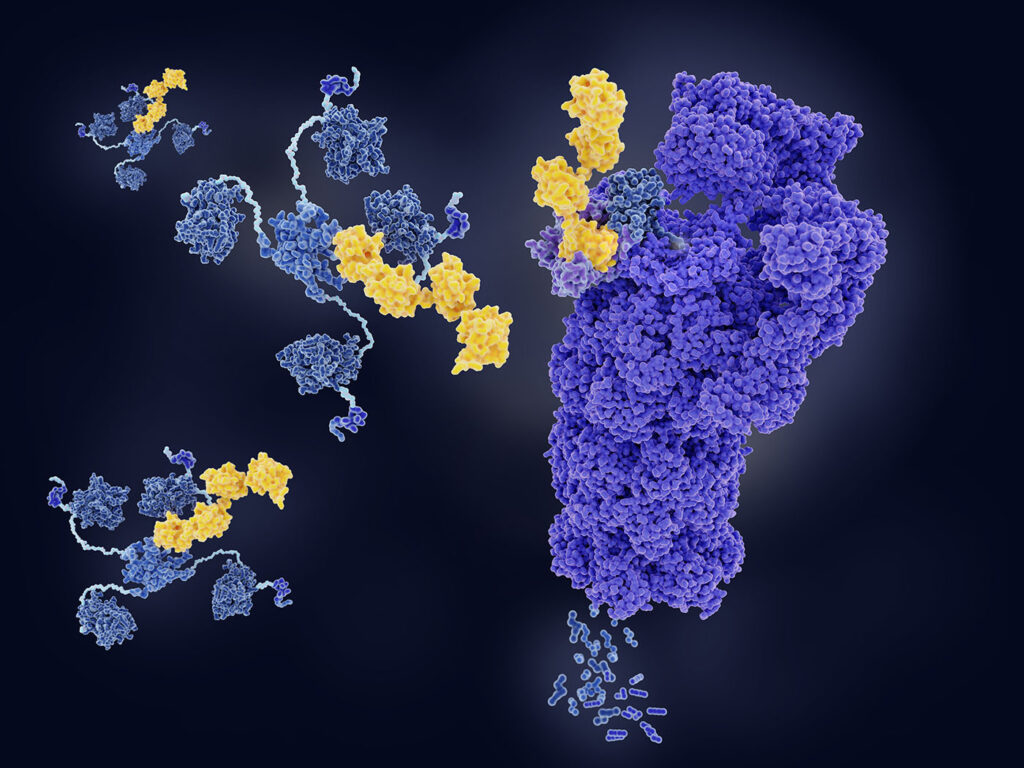 emerging-approaches-for-targeted-protein-degradation