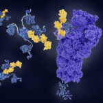 emerging-approaches-for-targeted-protein-degradation