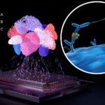 bridging-the-gaps-in-proteomics