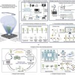 revolutionizing-crop-breeding:-the-impact-of-next-generation-ai-and-big-data