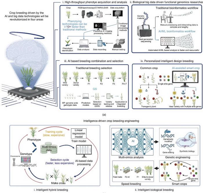 revolutionizing-crop-breeding:-the-impact-of-next-generation-ai-and-big-data