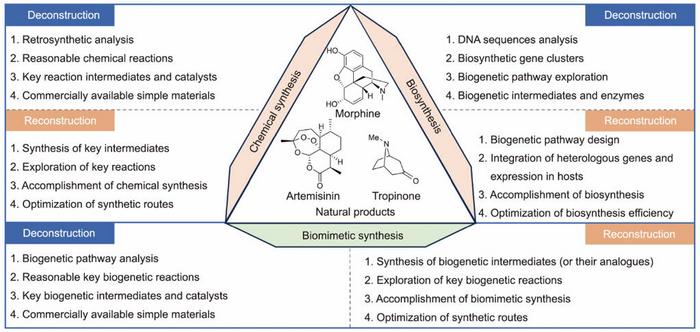 advancements-and-future-directions-in-biomimetic-approaches-to-natural-product-synthesis