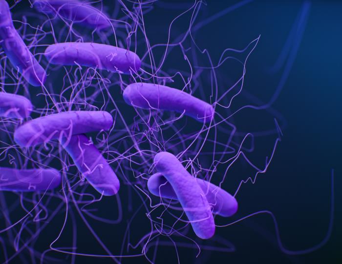 synthetic-microbiome-therapy-suppresses-c.-difficile-infection-in-mouse-model